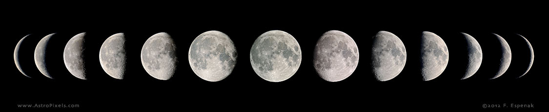 What are the different phases of the moon ?