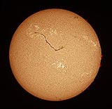 sunha12aug05-01s.jpg